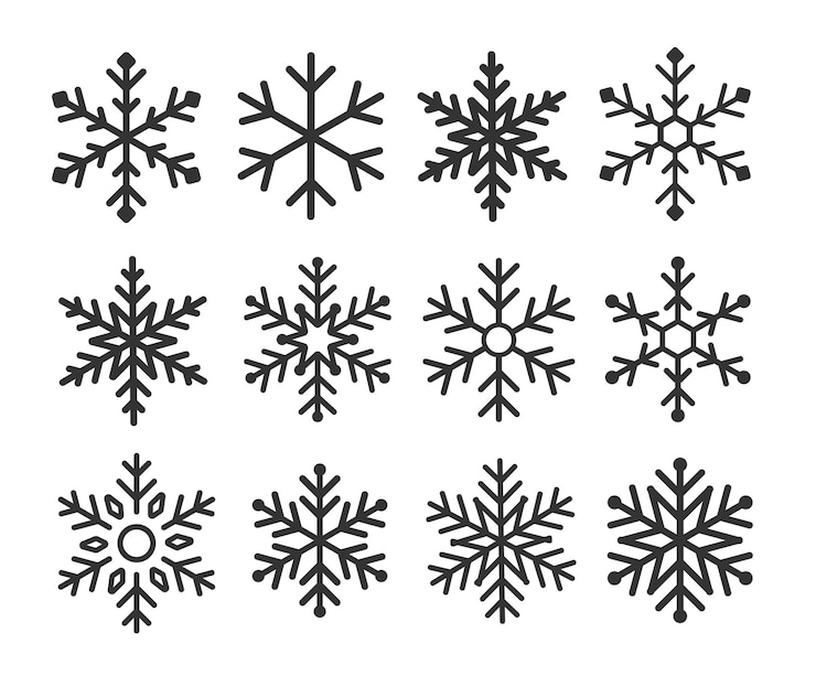 Vecteur icône de vecteur de flocons de neige. icône de vecteur de neige logo icône