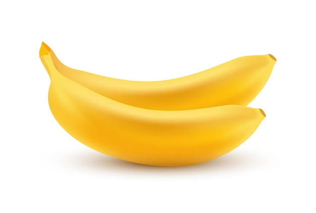Icône Vectorielle De Bananes Isolées Sur Blanc Dans Un Style Réaliste Illustration De Gros Plan De Fruits Tropicaux Frais