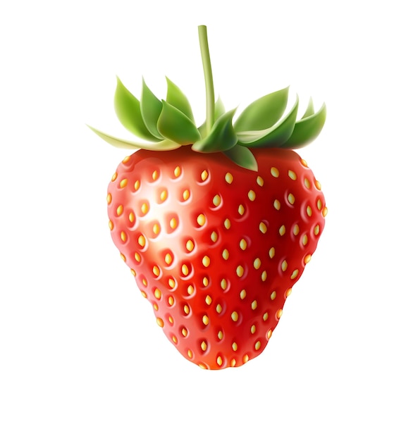 icône vectorielle réaliste fraise entière rouge sur fond blanc isolée