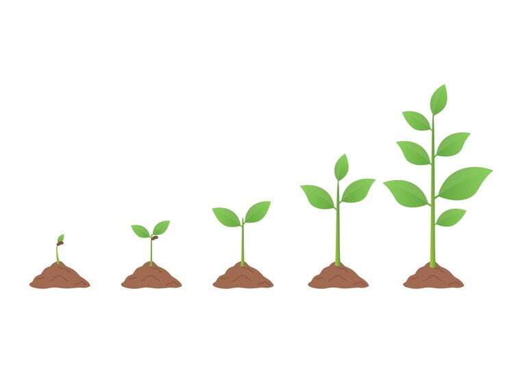 Vecteur icônes de l'agriculture de plus en plus d'arbres de plantes sprout
