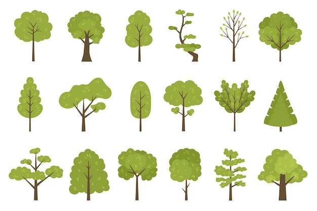 Icônes d'arbres forestiers plats, éléments de paysage de jardin ou de parc. Dessin animé simple tronc d'arbre d'été, feuilles et branches. Ensemble de vecteurs d'arbres de la nature. Plantes à feuillage, verdure botanique biologique