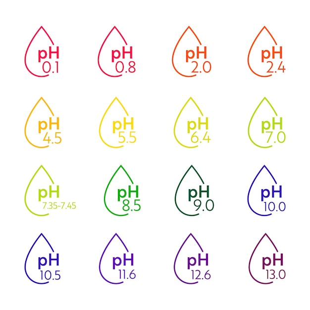 Icônes D'échelle De Valeur Ph. Infographie De L'équilibre Acido-basique. Affiche De L'éducation