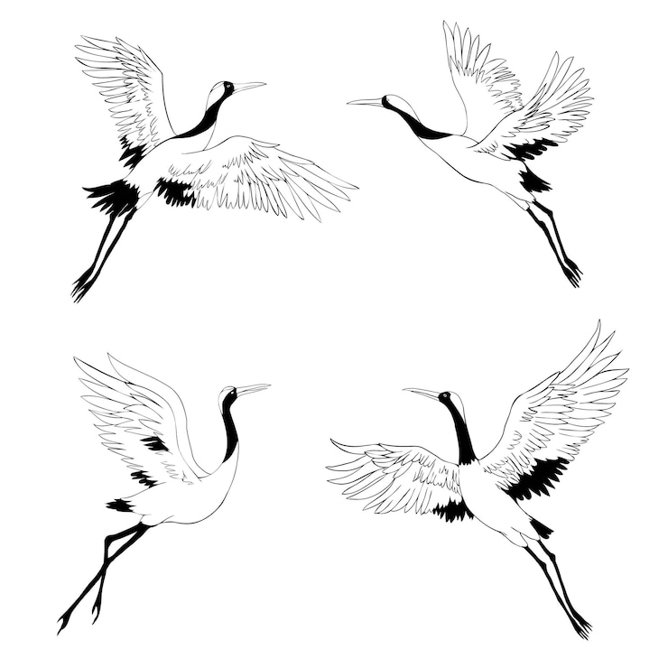 Vecteur icônes d'encre noire silhouette ou ombre d'oiseaux de grue ou de hérons volant et debout ensemble de modèle de contour de groupe de cigognes ou illustration de vecteur de fond créatif isolé sur blanc