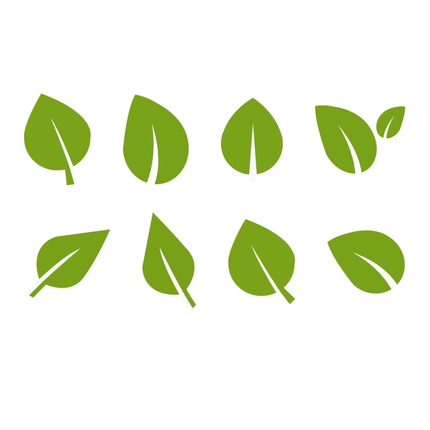 Vecteur les icônes de feuilles vertes la couleur verte les feuilles le logo de l'icône de la couleur vert les feuilles sur fond blanc l'écologie