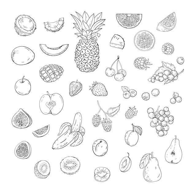 Icônes de fruits_dessin au trait