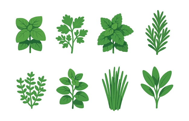 Les icônes de jardin d'herbes sont constituées de basilic, de persil, de menthe, de romarin, de thym, d'origan, de sauge.