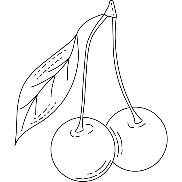 Vecteur icônes de ligne de fruits et légumes pack de signes dans un style branché signes de contour nourriture tropicale