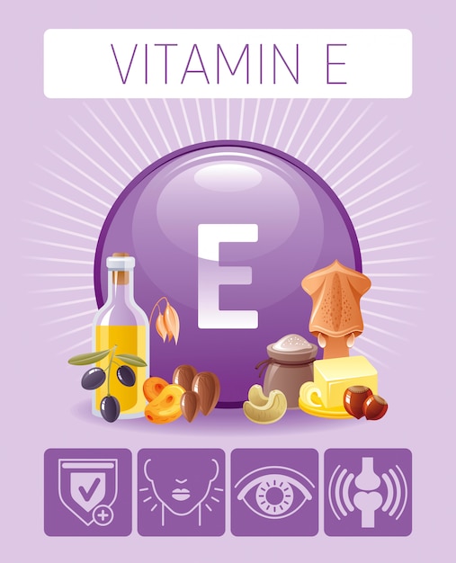 Icônes De Nourriture De Nutrition De Vitamine E Tocophérol Avec Bénéfice Humain. Jeu D'icônes Plat De Manger Sainement. Affiche Graphique Infographique De Régime Avec Du Beurre, De L'huile D'olive, Des Calmars, Des Noix.