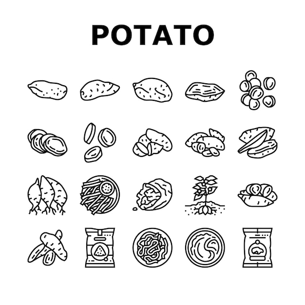 Vecteur les icônes de la patate, de la nourriture douce, de l'igname et de l'orange sont des vecteurs.