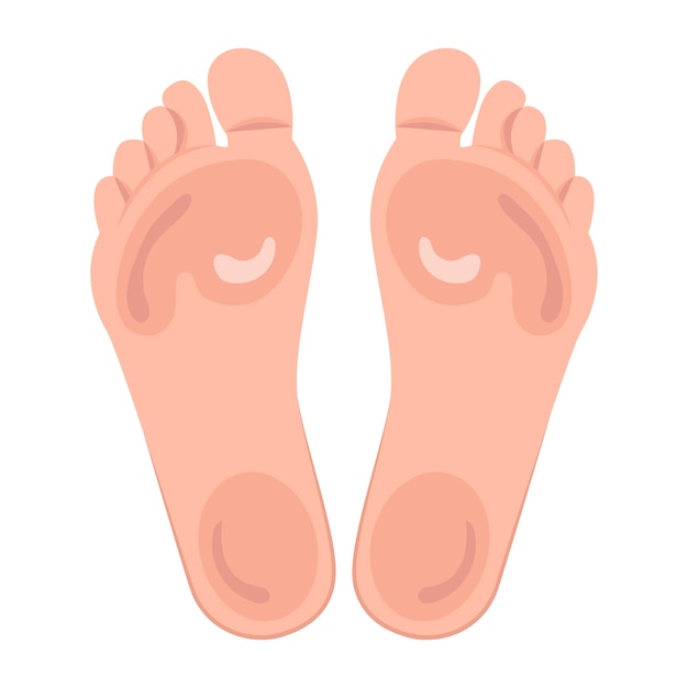 Les icônes des pieds plats de la femme