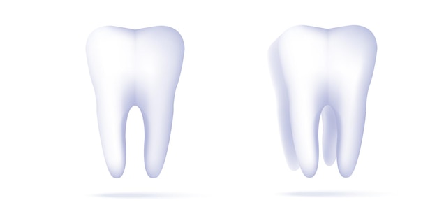 Les icônes de rendu 3D des dents définissent la vue de face et en perspective avec des racines saines