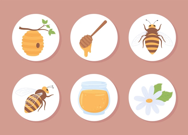 Vecteur icônes rondes de miel