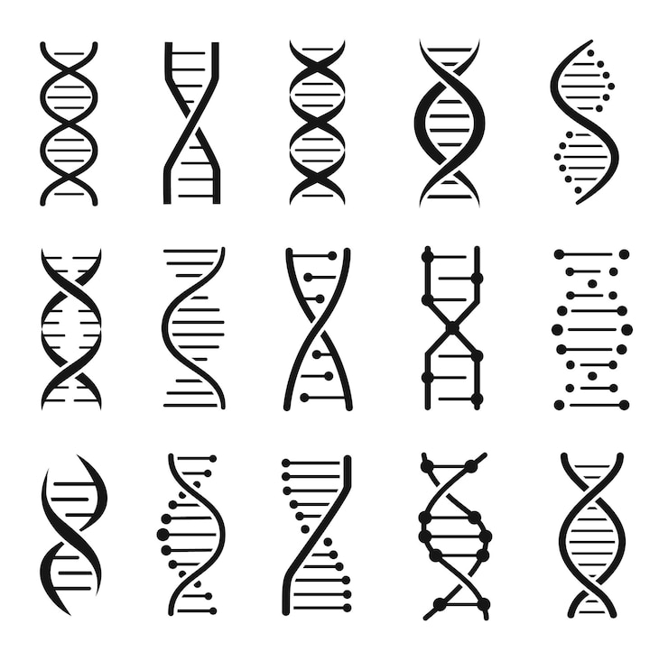 Vecteur icônes de structure de molécule d'adn hélice de chaîne chromosomique code génétique logo vector set