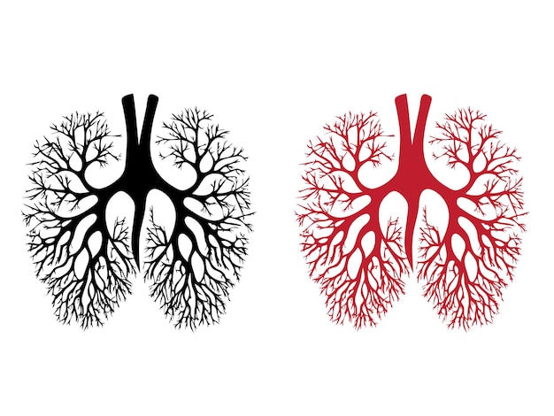 Vecteur icônes vectorielles de poumons humains sur fond blanc