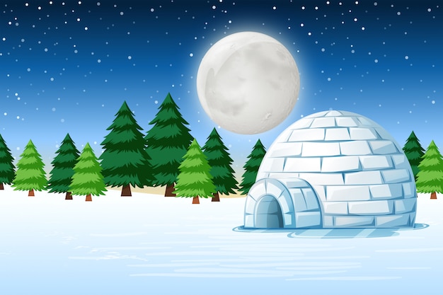 Igloo En Paysage De Nuit D'hiver