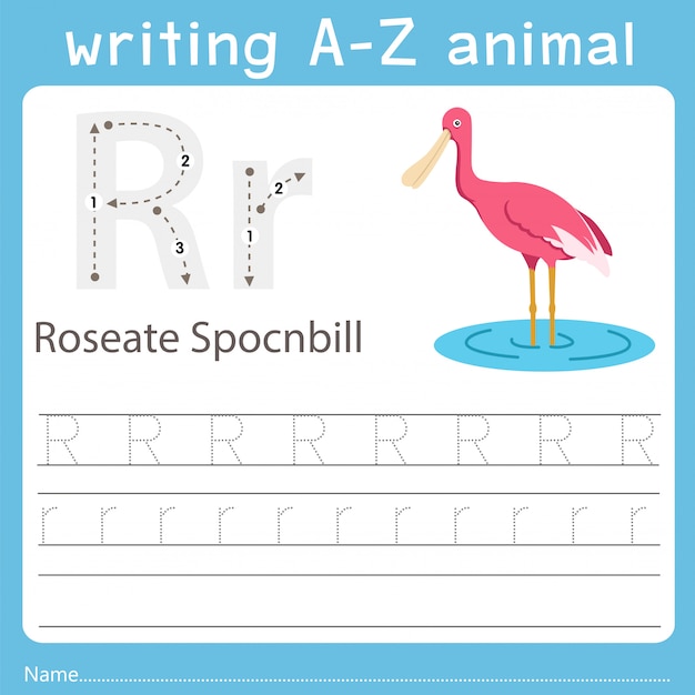 Illustrateur écrivant Un Animal De Rosée