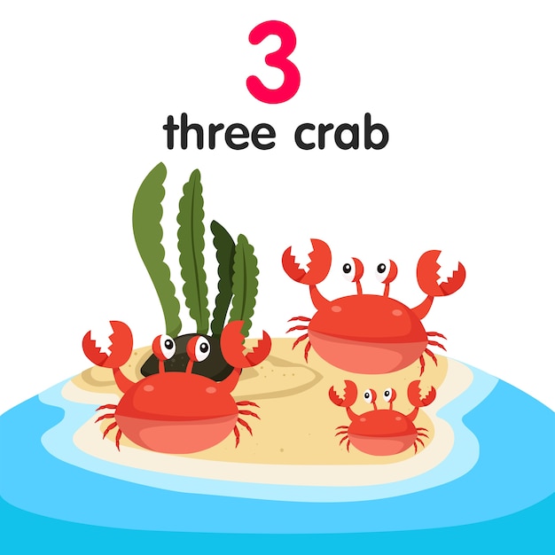 Illustrateur De Trois Crabes