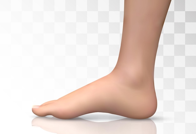 Illustration 3d vecteur volume du pied santé et sélection des chaussures