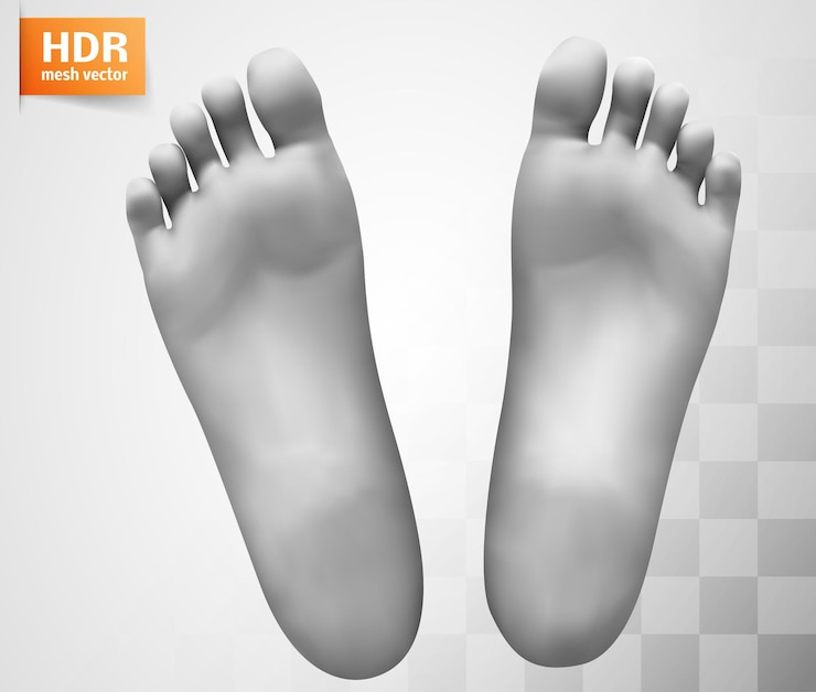 Vecteur illustration 3dvecteur santé du volume du pied et sélection de chaussures