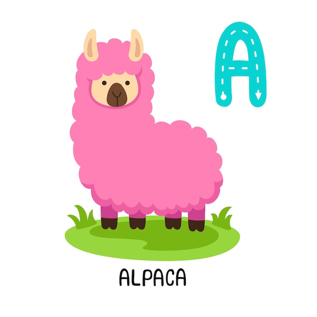 Illustration Alphabet Animal Isolé Lettre Aalpaga