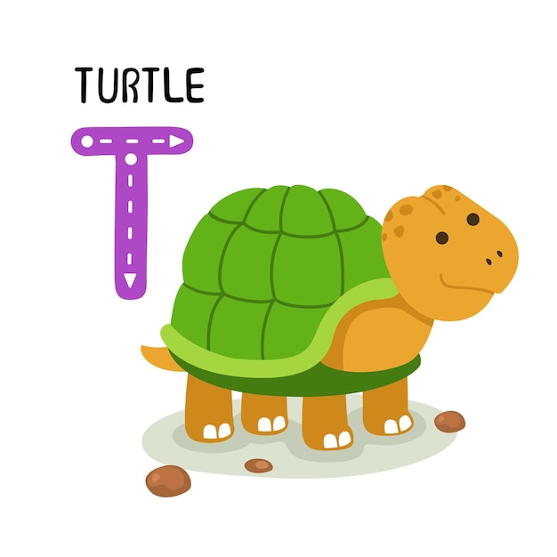 Illustration Alphabet Animal Isolé Lettre Ttortue