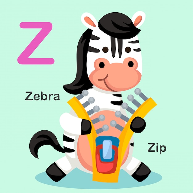 Illustration Alphabet Animal Lettre Isolée Z-zip, Zèbre