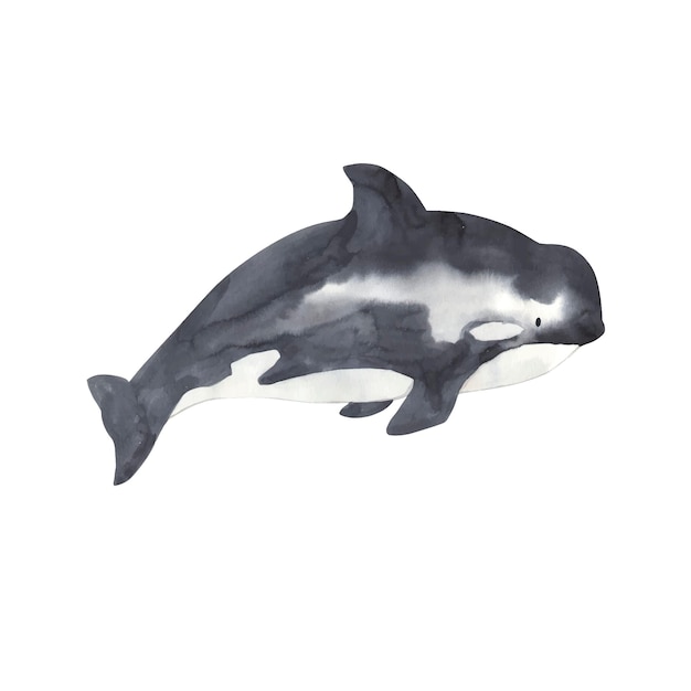 Illustration aquarelle de baleine pour les enfants