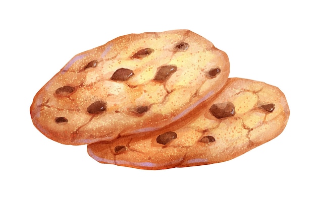 Illustration aquarelle de biscuits aux pépites de chocolat