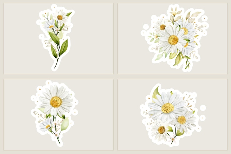 Vecteur illustration à l'aquarelle d'un bouquet de marguerites et d'un autocollant de branche