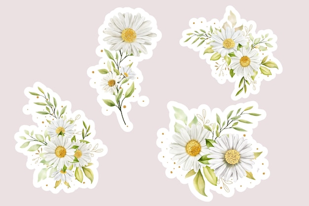 Vecteur illustration à l'aquarelle d'un bouquet de marguerites et d'un autocollant de branche