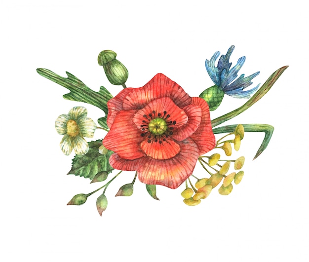 Illustration Aquarelle D'un Bouquet De Pavot Rouge, Bleuet Bleu, Camomille, Bourgeons, Feuilles, Branches Et Autres Herbes Des Champs.