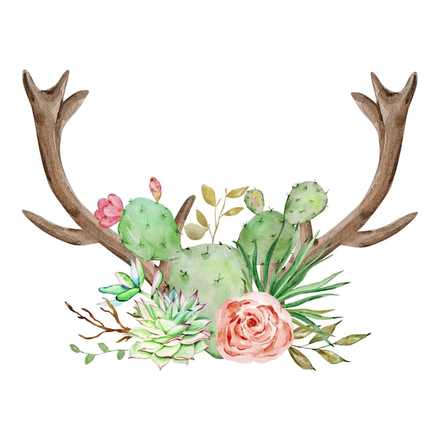 Illustration Aquarelle De Cactus Avec Des Bois