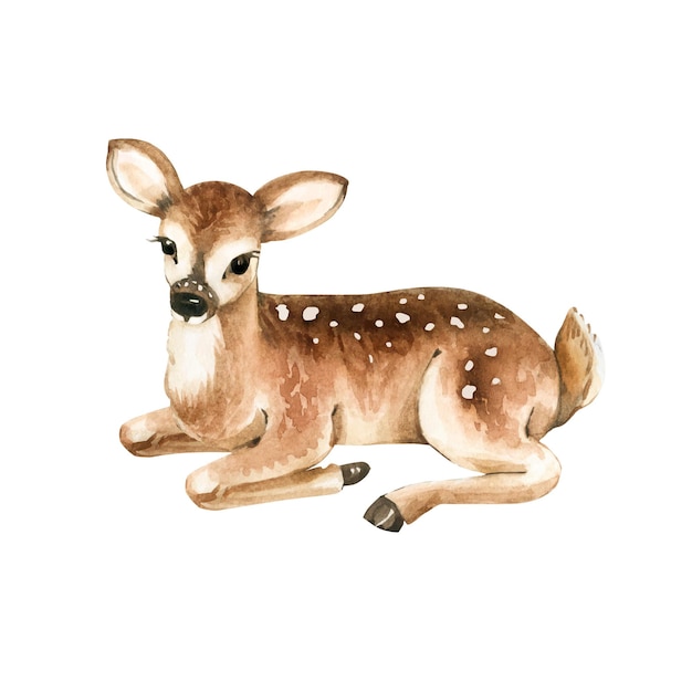 illustration aquarelle de cerf, peinte à la main.