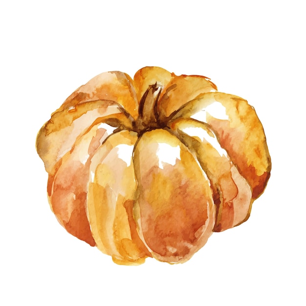 Illustration aquarelle d'une citrouille récolte d'automne Cucurbita