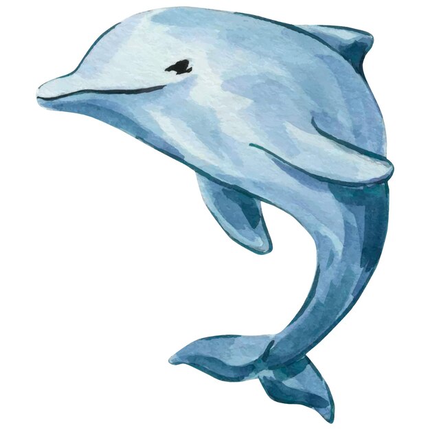 Vecteur illustration à l'aquarelle d'un dauphin bleu thème de la mer dauphins réalistes sur fond blanc