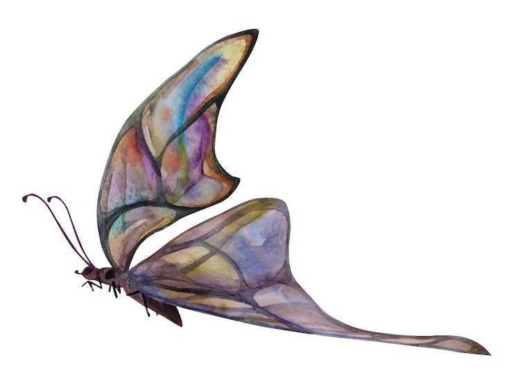 Vecteur illustration à l'aquarelle dessinée à la main ailes de fées papillons insectes de cristal gemme papillon tourmaline perle labradorite opale objet unique isolé sur fond blanc design imprimerie mariage anniversaire