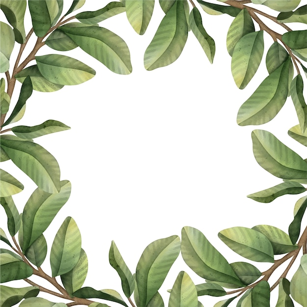 Illustration aquarelle dessinée à la main Cadre botanique avec branches et feuilles vertes