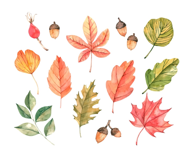 Vecteur illustration aquarelle dessinée à la main. ensemble de feuilles d'automne.