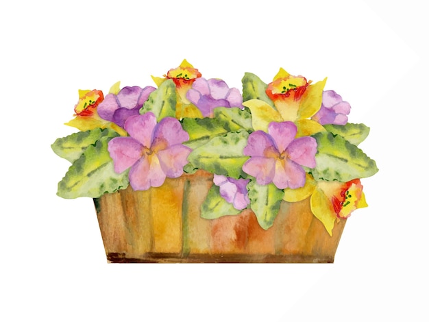 Vecteur illustration à l'aquarelle dessinée à la main jardinage de printemps boîte en bois avec des fleurs feuilles bourgeons plante naturelle
