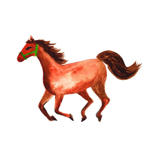 Illustration aquarelle du cheval de jogging