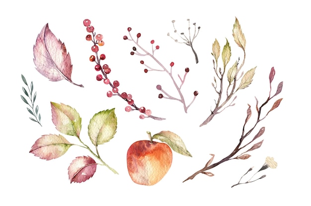 Illustration Aquarelle Avec Des éléments D'automne Mis Feuilles Champignons Branche Baies Oiseaux Gland