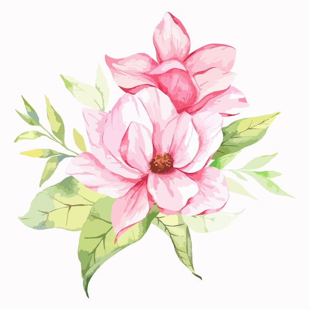 Illustration aquarelle de fleur de magnolia peinte à la main