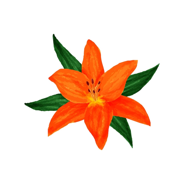 Vecteur illustration d'aquarelle de fleurs et de feuilles