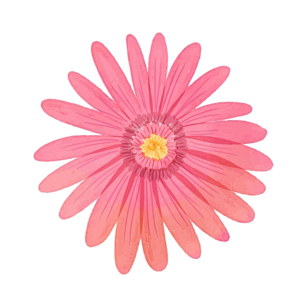 Illustration d'aquarelle de fleurs sur fond blanc
