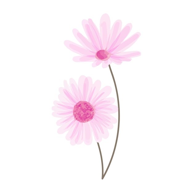 Illustration d'aquarelle de fleurs sur fond blanc