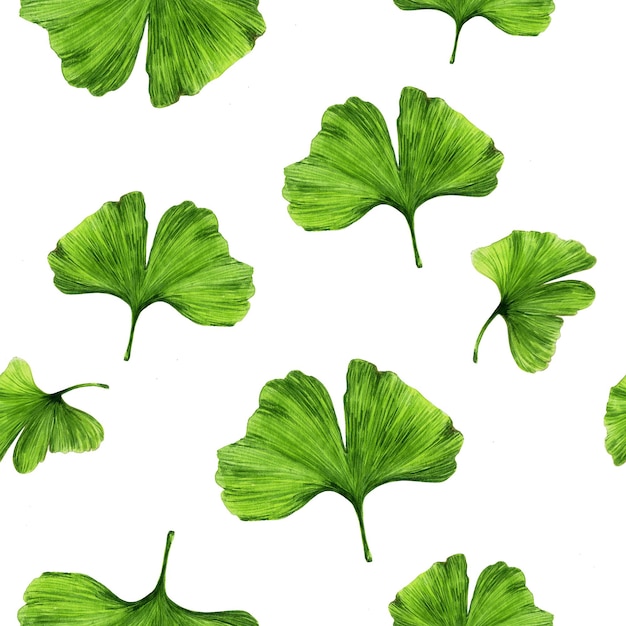 Illustration Aquarelle De Ginkgo Biloba Laisse Un Motif Décoratif Sans Soudure