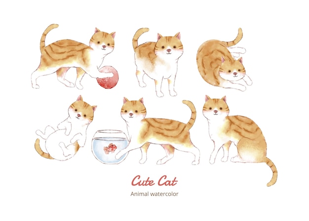 illustration aquarelle jeu d'expression d'activité de chat jaune