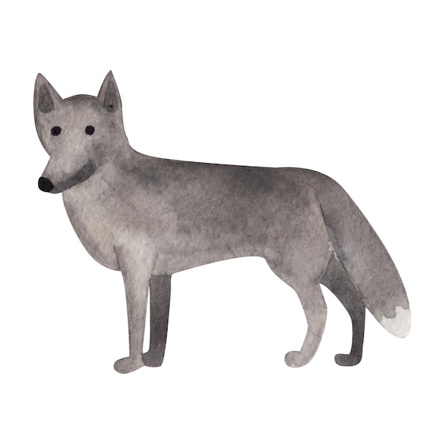 Illustration aquarelle de loup gris