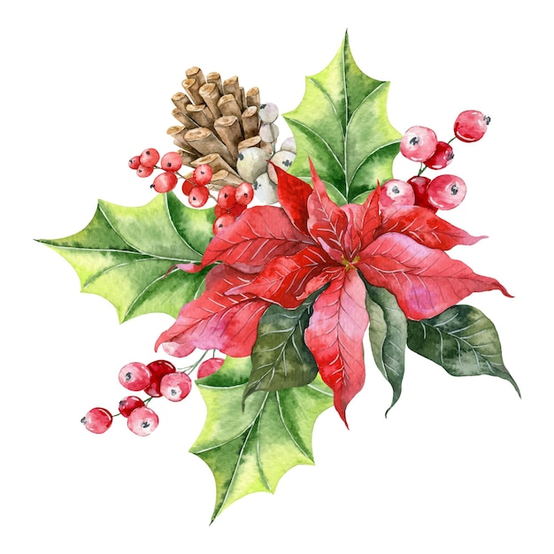 Illustration d'aquarelle de Noël, composition florale d'hiver, verdure d'hiver, aquarelle de poinsettia