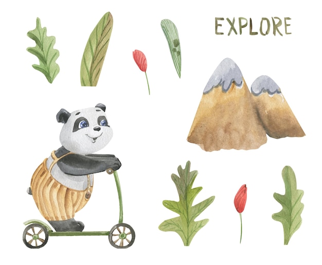 Illustration aquarelle d'un panda sur un scooter